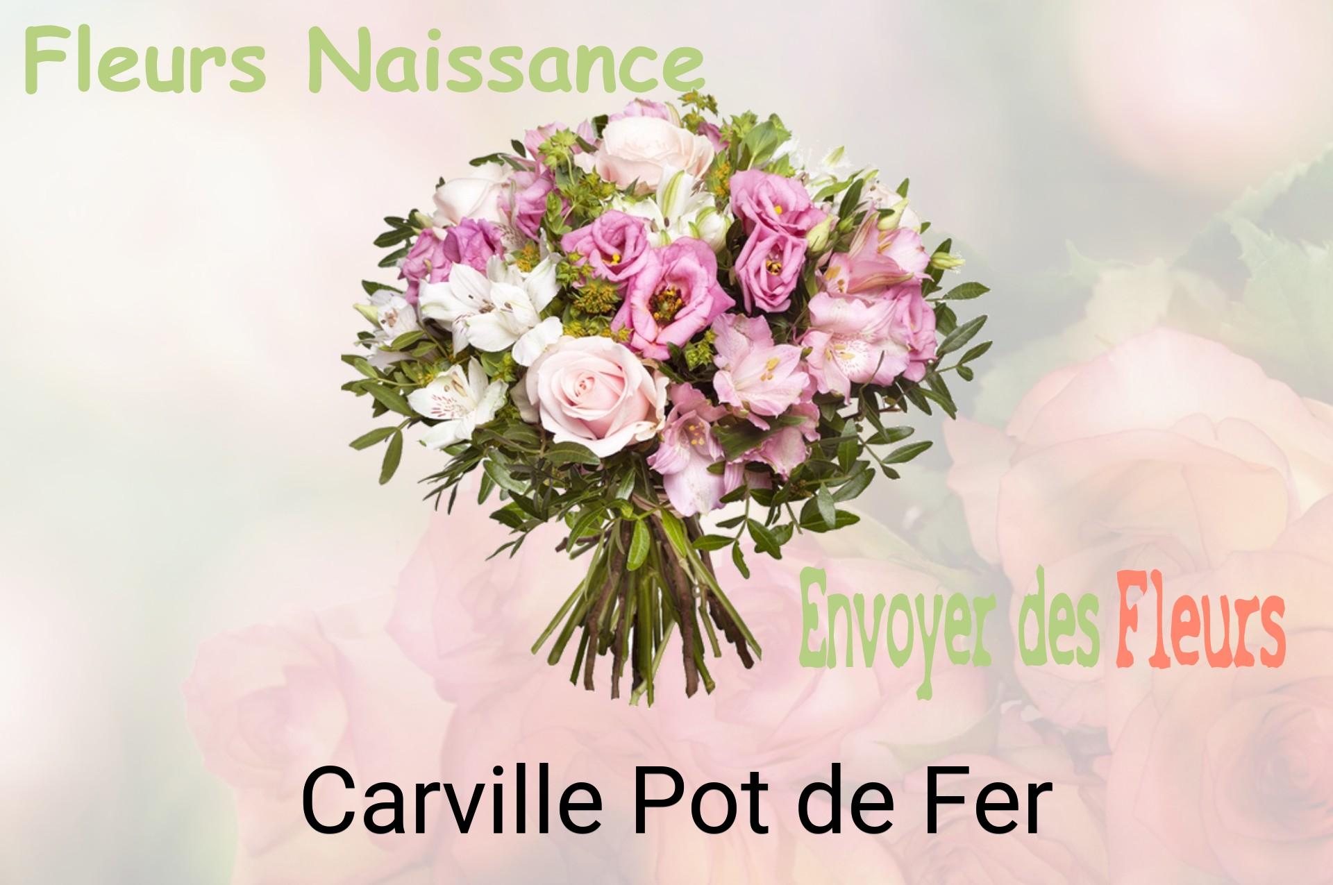 Bouquet de fleurs de naissance livré à Carville-Pot-de-Fer